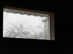 DSC05676.JPG