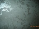 DSC00264.JPG