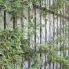 greenfacade3.jpg