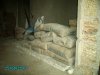 PICT0299.jpg