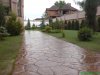 DSC02329.jpg