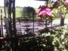 Photo-0015.jpg