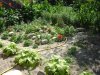 DSC00631.jpg