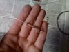 11072010358-уменьшенное.jpg