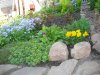DSC04313.jpg