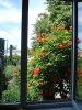 DSC06927.jpg