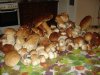DSC09358.JPG