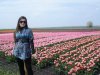 DSC08854.jpg