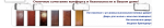 bottom.png