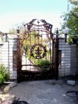 Фото-0007-0.jpg