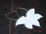 DSC00044.JPG
