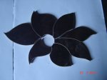 DSC00049.JPG