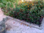 IMG_20130823_205506.jpg