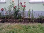 IMG_20130823_205625.jpg