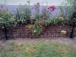 IMG_20130823_205811.jpg