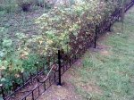 IMG_20130823_205831.jpg
