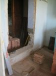 IMG_0595.jpg