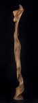 29-241-Mellonia-pear.jpg