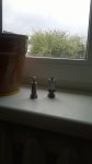 WP_20140608_003.jpg