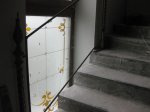 IMG_1221.JPG