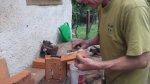 DSCF1798.jpg