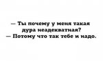 1404191325_85.jpg