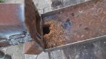 DSCF1811.jpg
