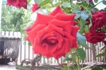 IMG_0314.JPG