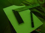 DSC00040.JPG