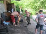 IMG_3937.jpg
