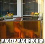 s14795888.jpg