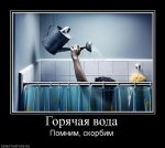 260088_900.jpg