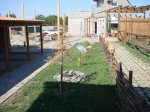 DSC08198.JPG