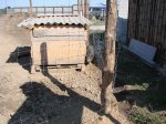 DSC08193.JPG