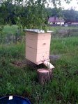 20140601_174246.jpg