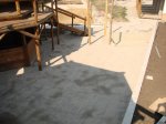 DSC08313.JPG