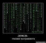 1281466938_1dozhd.jpeg