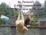 ооог.jpeg