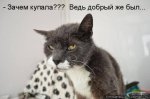 5f1d667835c6.jpg