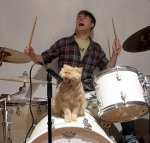 Fun_animals_22.jpg