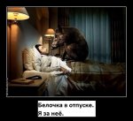 фотография.JPG