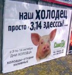 006шд7пдгп.jpg