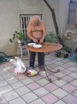 Изображение 342.jpg