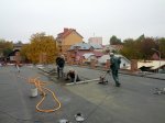 IMG_20131012_124026_Resize728px.jpg