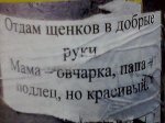 getImage (26).jpg