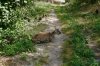 DSC01597.jpg