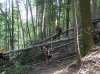 P1010050.jpg