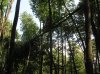P1010051.jpg