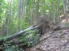 P1010056.jpg