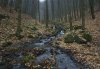 S3010073a.jpg